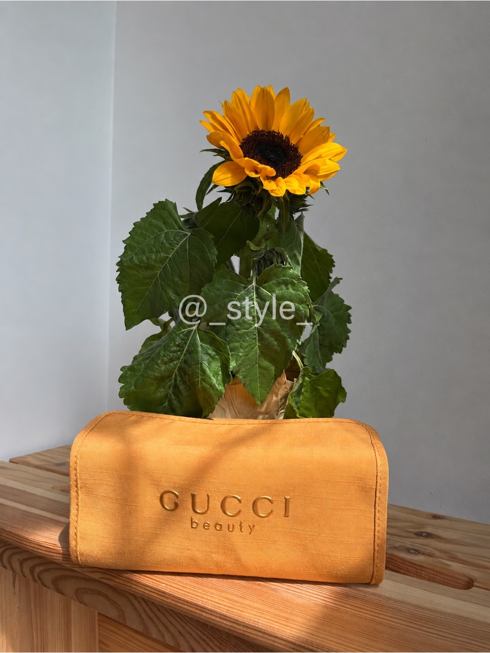 Gucci Beauty Cosmetic Pouch/ Organiser with removable compartaments